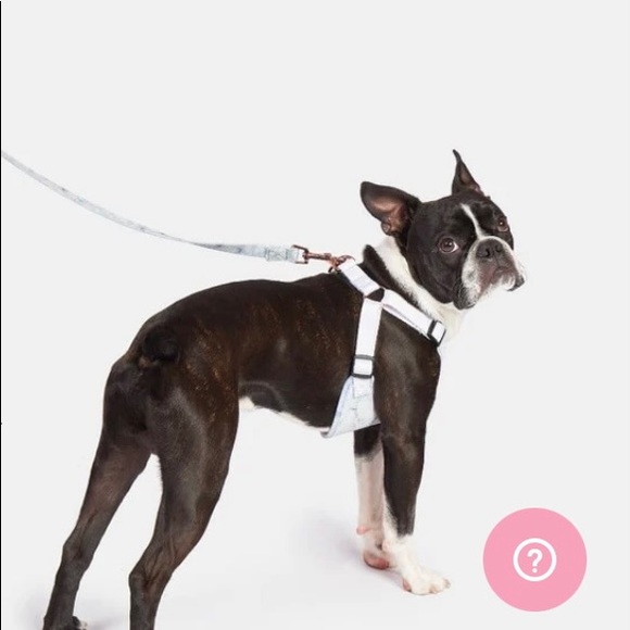 Skinny dip Dog Harness and Lead set - Picture 2 of 6